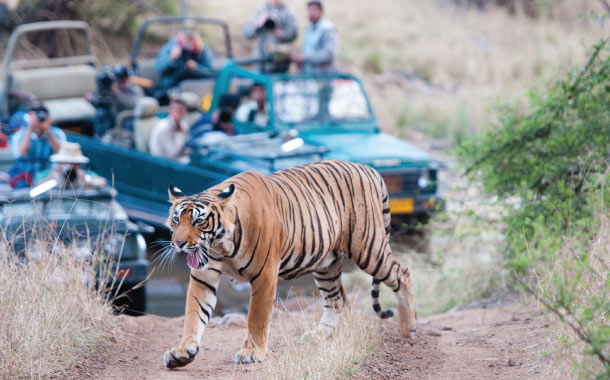 Jim Corbett National Park, Uttarakhand Jim Corbett National Park, Uttarakhand